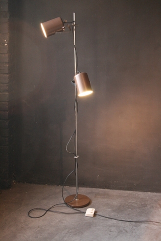Dual standing lamp